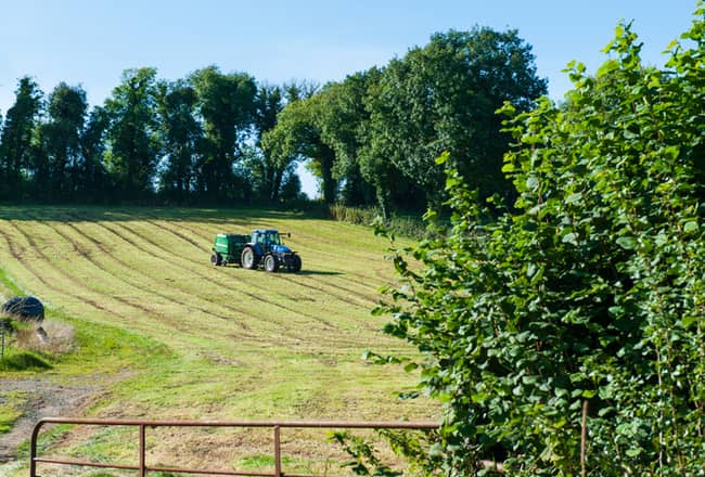 tractor collecting silage in a field