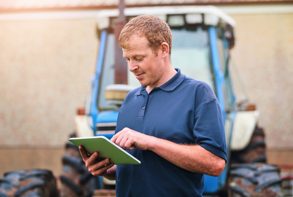 Farmer looking at a tablet computer.